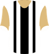 Logotipo da Alianza Lima