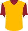 Motherwell FC's logo