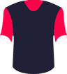 Ross County FC's logo