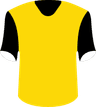 Young Boys Bern's logo