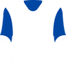 Brighton & Hove Albion's logo