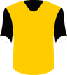 GKS Katowice's logo