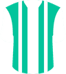 PFK Beroe Stara Zagora's logo