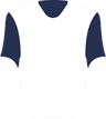 Tottenham Hotspur's logo
