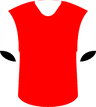 Southampton FC's logo