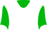 HamKam's logo