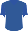 Foshan Nanshi FC's logo