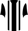 Clarence Zebras FC's logo