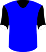 Ryazan VDV(W)'s logo