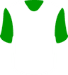 Hammarby IF(K) کا لوگو