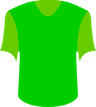 SE Gama DF's logo