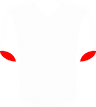 Red Bull Bragantino SP's logo