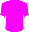 Falkirk FC's logo