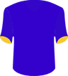 Delfin SC's logo