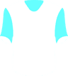 Melbourne Victory Youth's logo