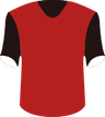 Chengdu Rongcheng's logo