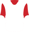 Logotipo da VfB Estugarda II U21