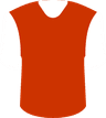 SC Bruhl St Gallen's logo