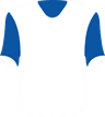 Hansa Rostock's logo