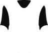 SV 07 Elversberg's logo