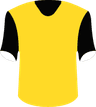 Borussia Dortmund's logo