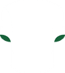 FC Groningen's logo