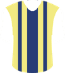 Fenerbahce Istanbul's logo