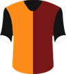 Galatasaray Istanbul's logo