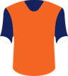 Istanbul Basaksehir's logo