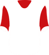 Gornik Zabrze's logo