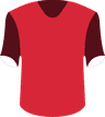 Widzew Lodz's logo