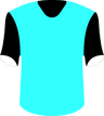 Ferroviario Da Beira's logo