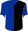 Zawisza Bydgoszcz's logo
