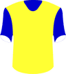 Gold Coast United FC's logo