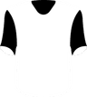 TSV 1860 Rosenheim's logo
