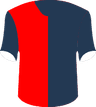 Albion FC's logo