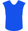 Salisbury Inter(W)'s logo