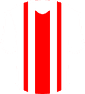 CA Nacional Potosi's logo