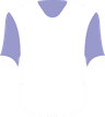 Lions FC's logo