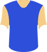 CD Everton Vina del Mar's logo