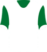 Vilnius FK Zalgiris's logo