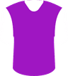 FC Alania Vladikavkaz's logo