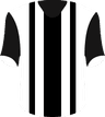 FC 08 Villingen's logo