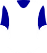 EC Santo Andre SP's logo
