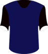 Wenzhou Professional FC's logo