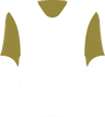 Llaneros FC's logo